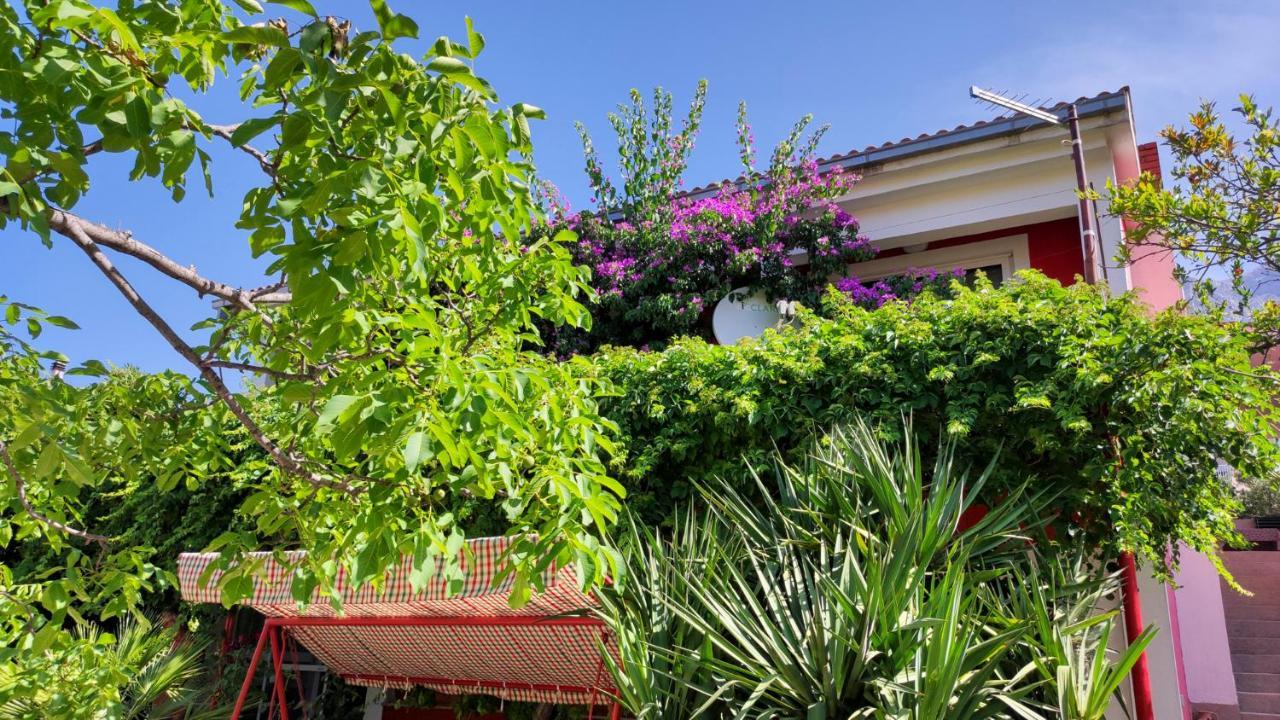 Apartments Paunovic Makarska Dış mekan fotoğraf