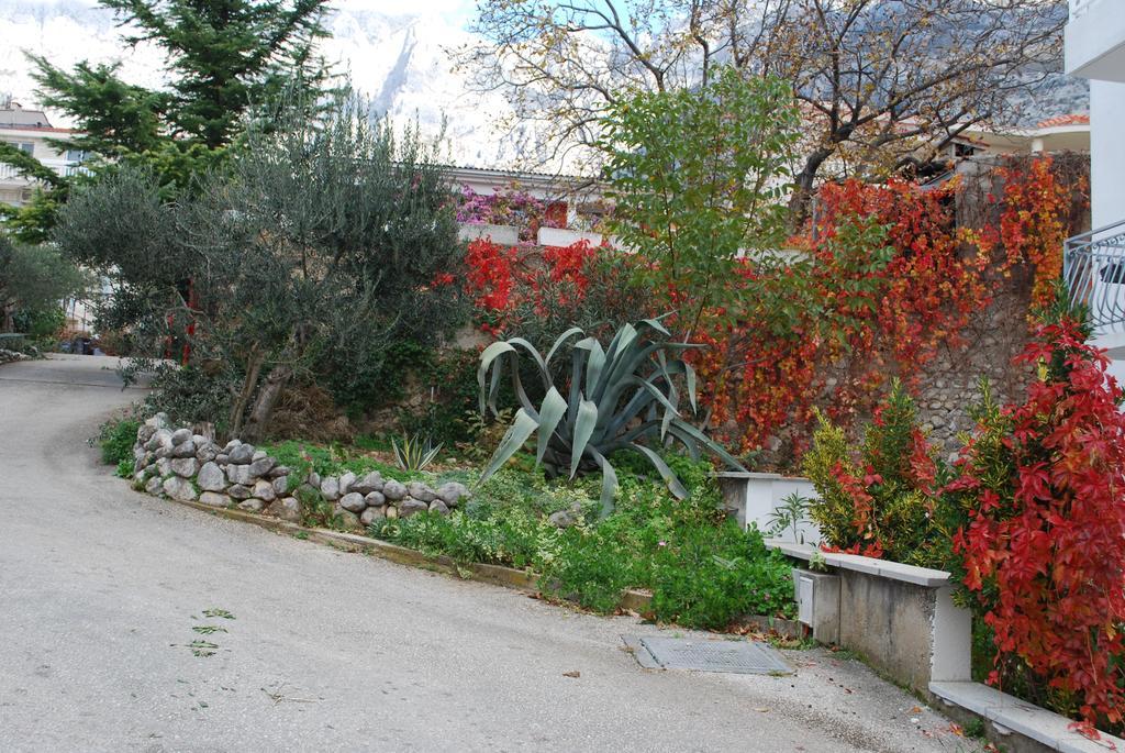 Apartments Paunovic Makarska Dış mekan fotoğraf